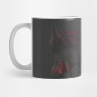 Obscured memory of roses Mug